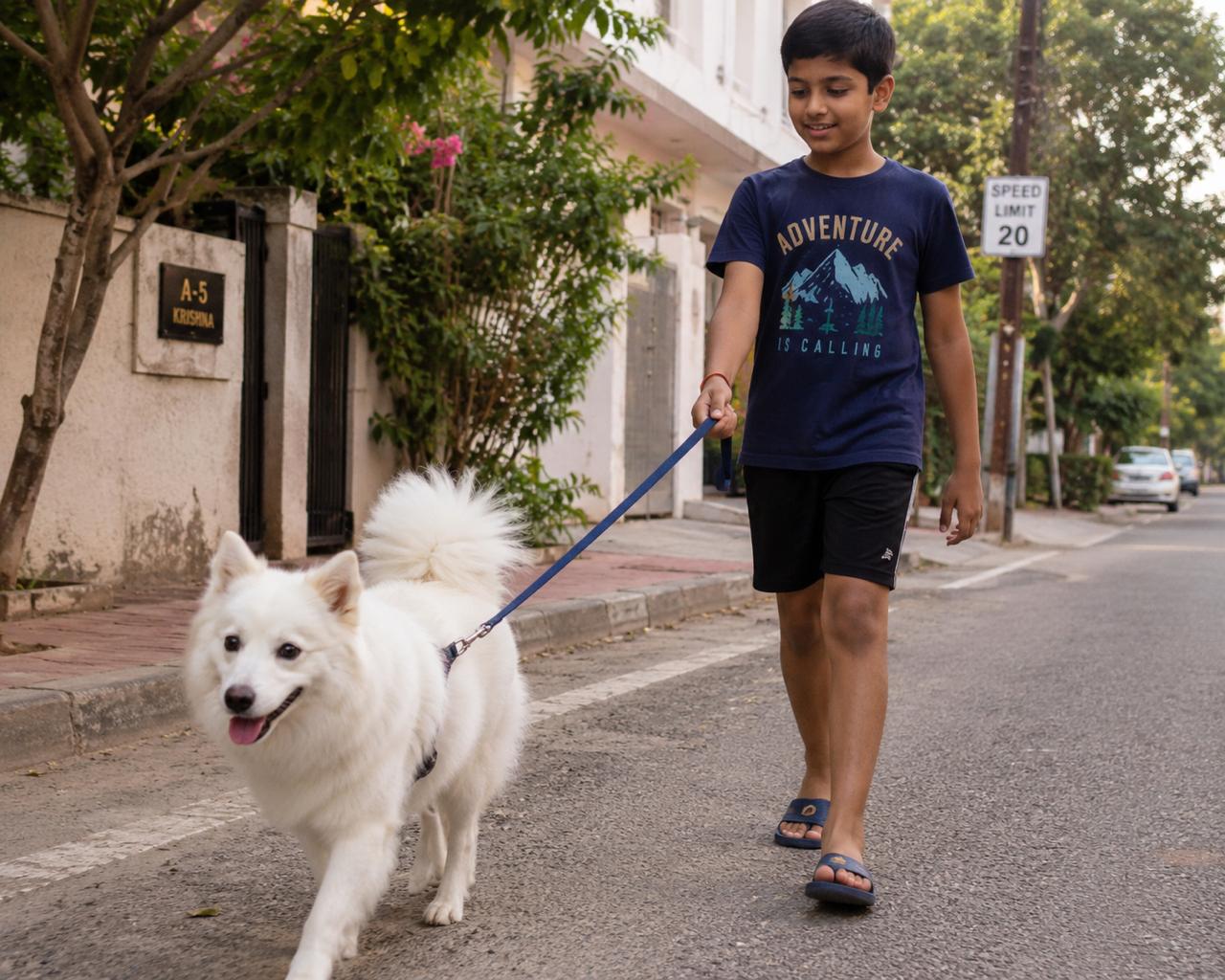 Indian Spitz